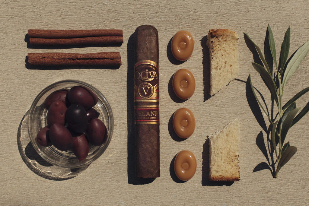 Oliva