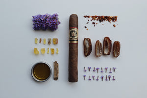 Arturo Fuente Don Carlos Double Robusto